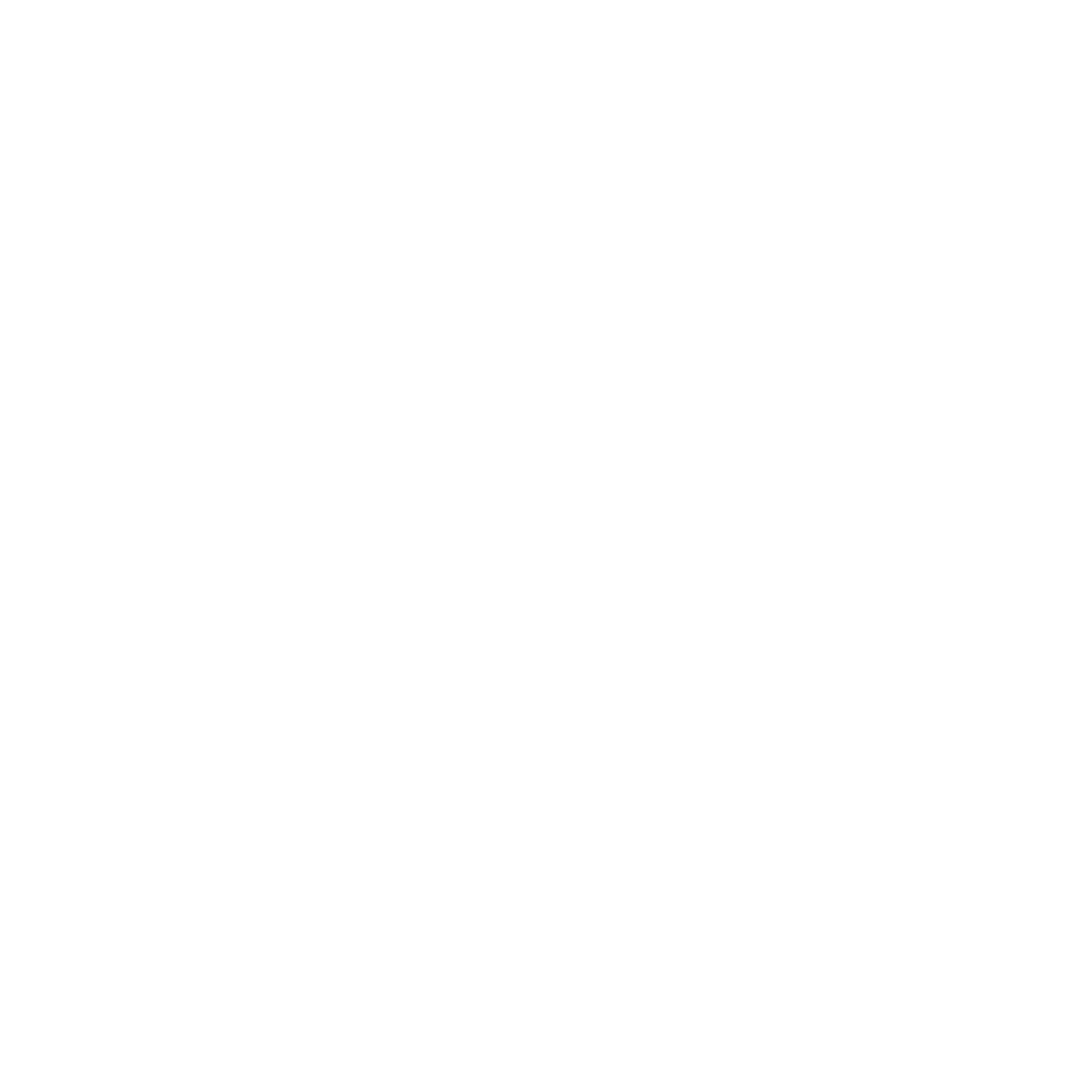wordpress logotype wmark white